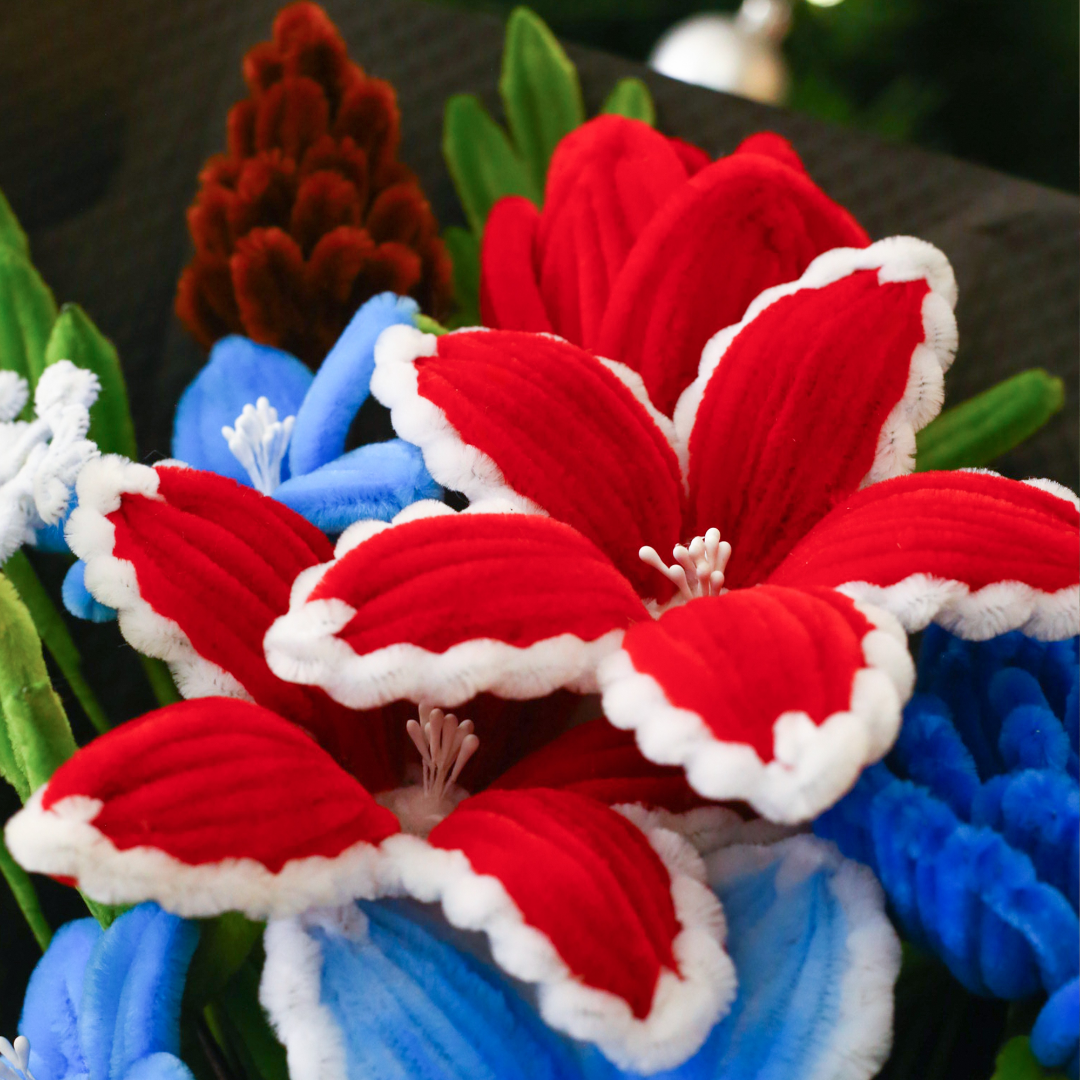 Festive Wonder
