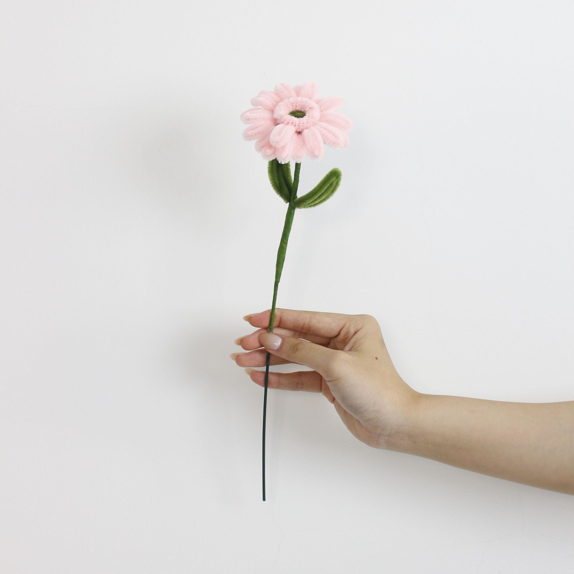 Gerbera Tutorial