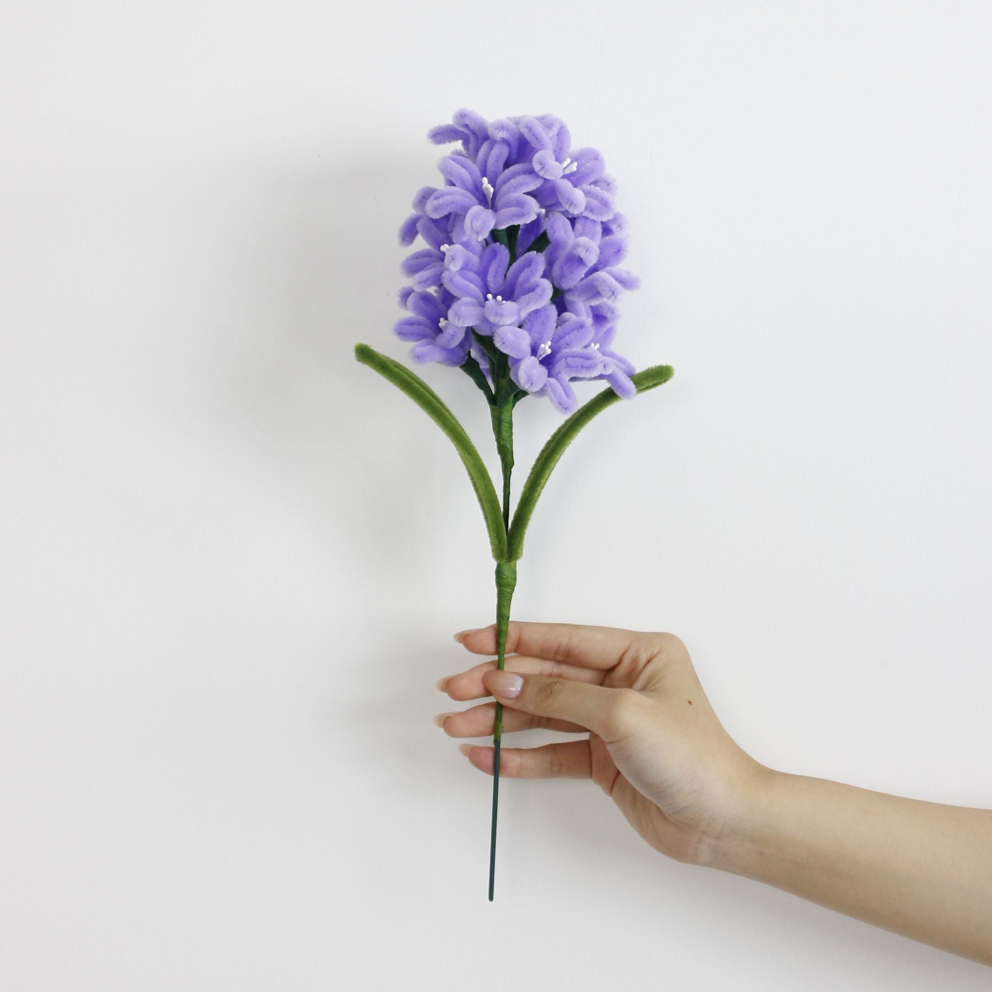 Hyacinth Tutorial