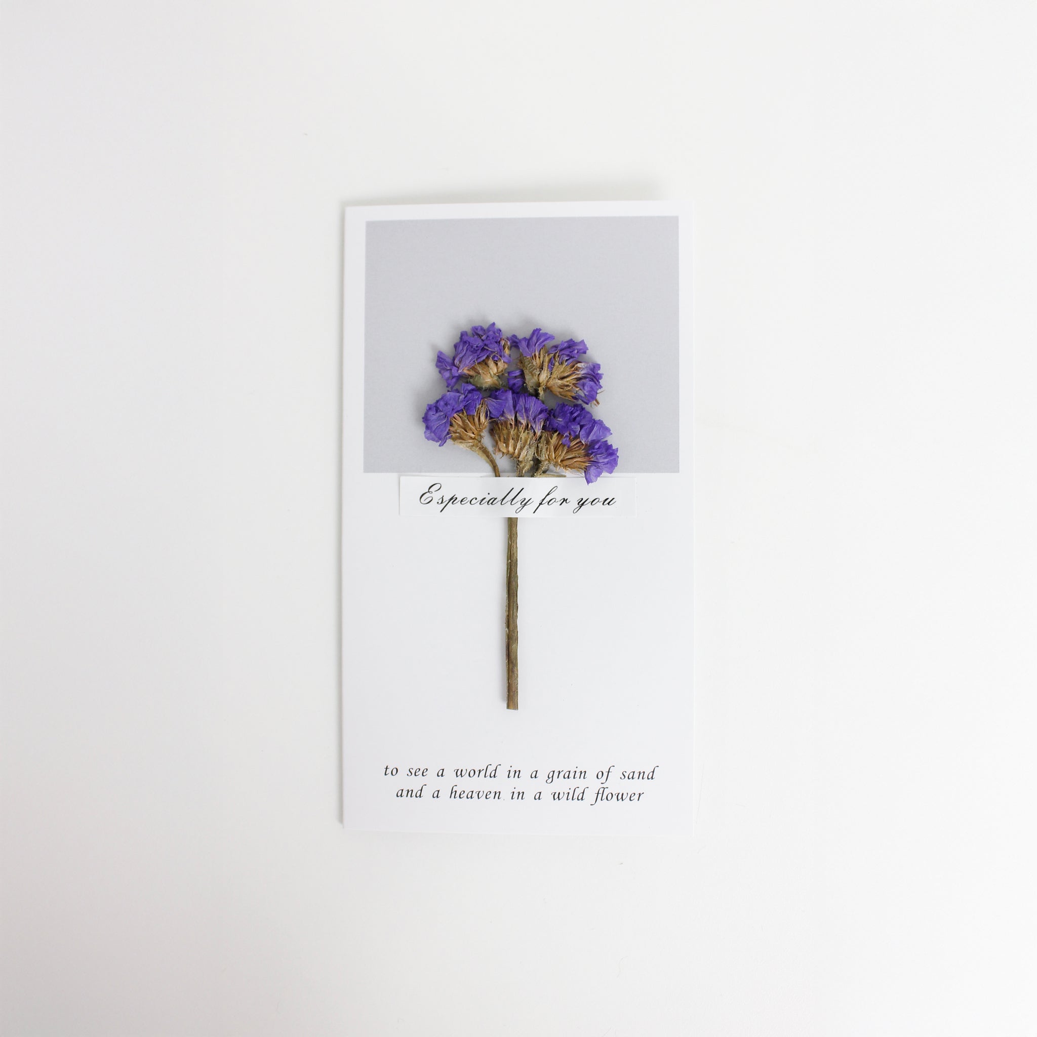 Card_0012__MG_3711.jpg