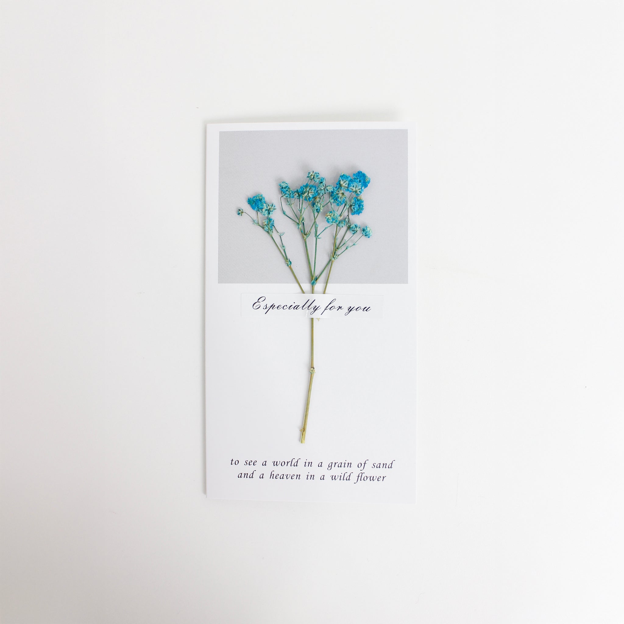 Card_0014__MG_3704.jpg