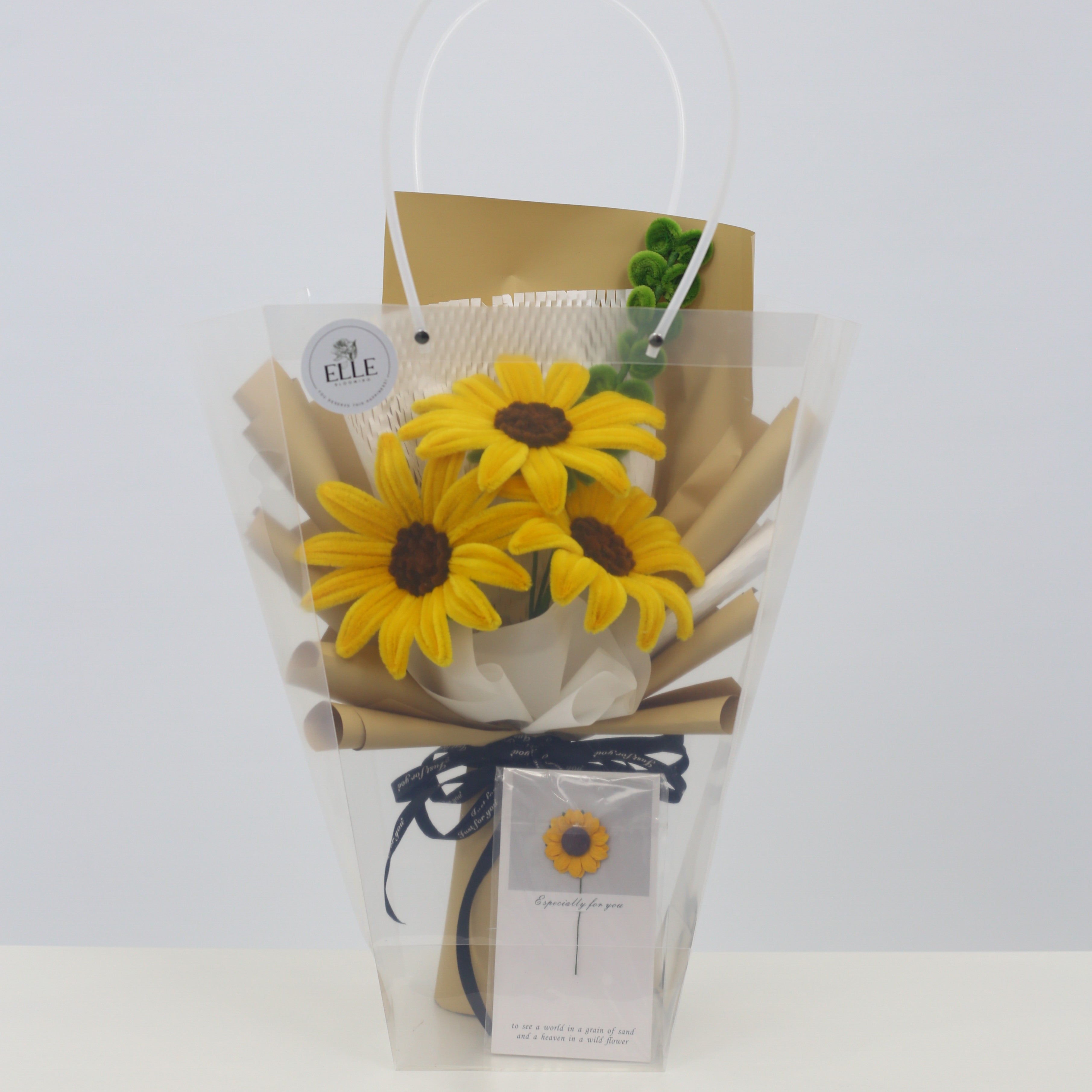 Clear Gift Bag