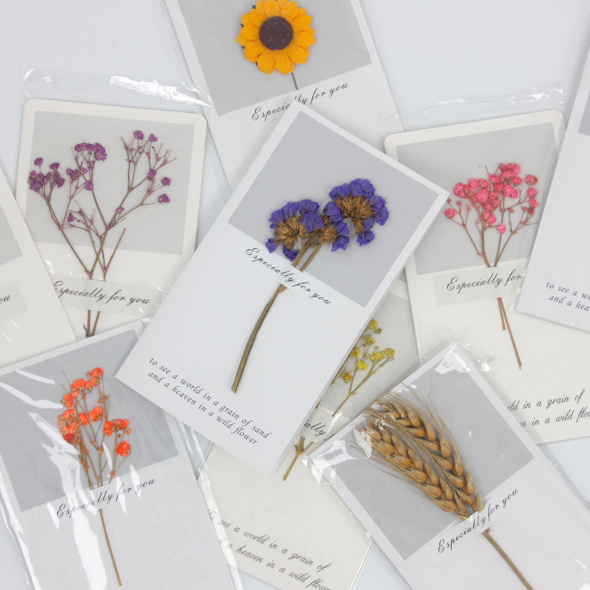 A variety of dried flower message cards, each with a unique design and quote. Free insert gift for bouquet orders from Elle Blooming, perfect for gifting and personal notes.
